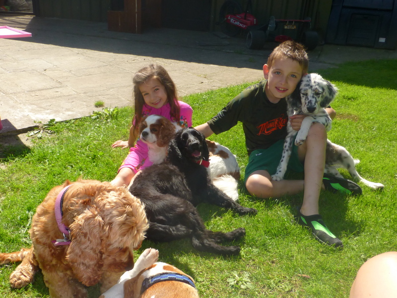 Pet Sitters by Lauri Pet Sitters by Lauri