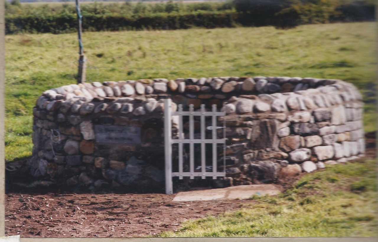 St Dympna's Well