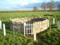 St Dympna's Well